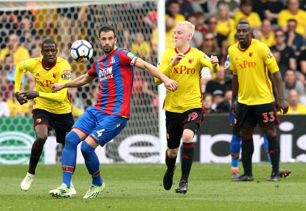 掘和培养像 掘和培养像